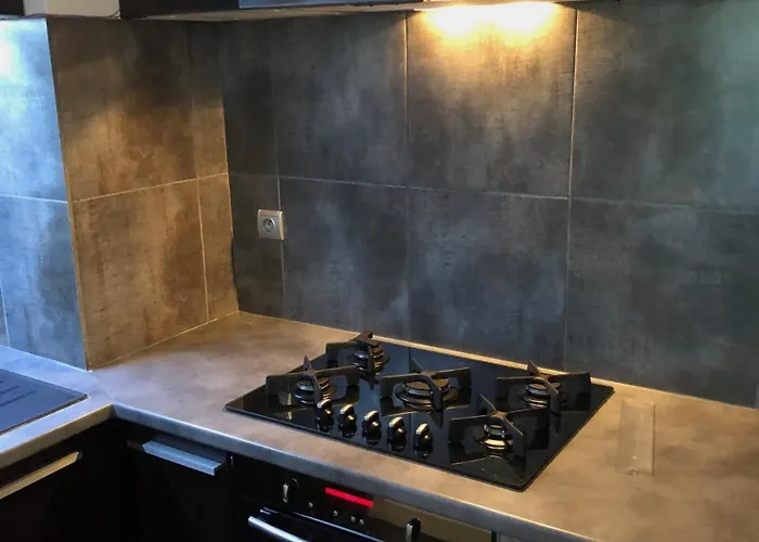 アパート Les Cygnes